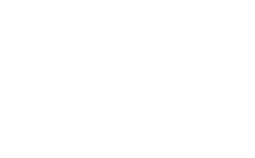 Veracity Capital Logo